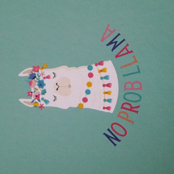 Set of 2 James Burke  No Prob LLAMA  Journal &  Miniature Llama Wooden Clips New - Picture 5 of 8